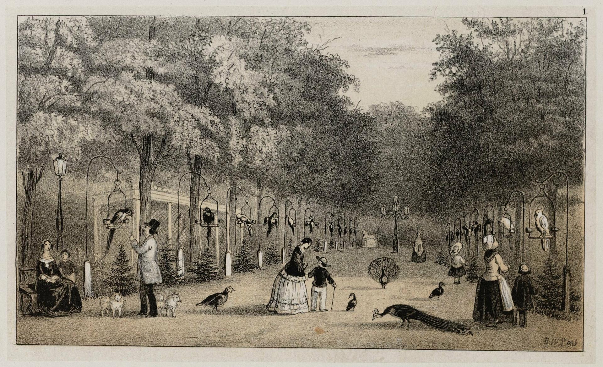 Artis Zoo