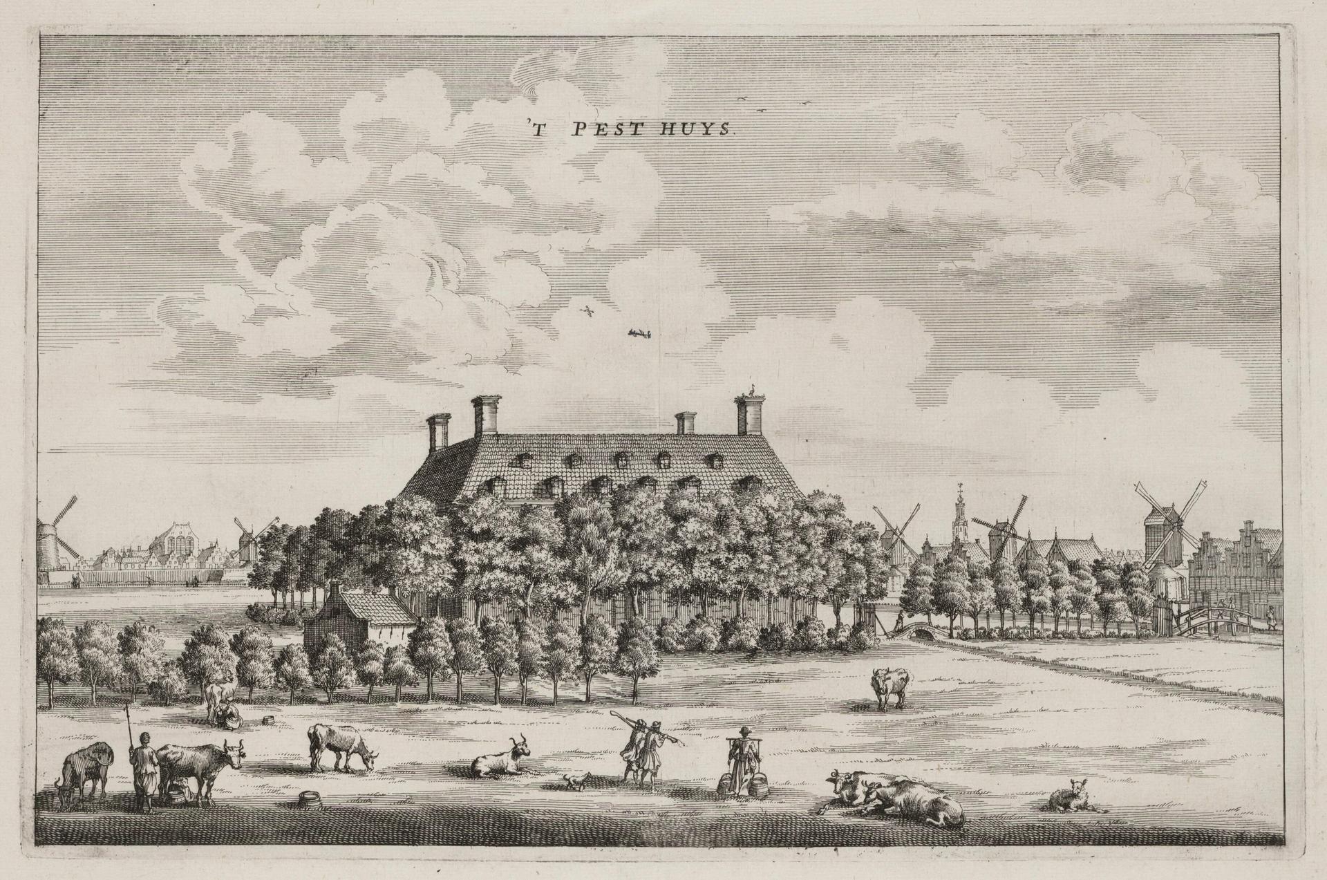The Plague House