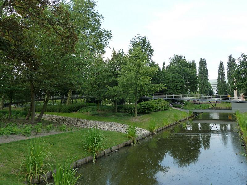 Biodiversity island, Rotterdam