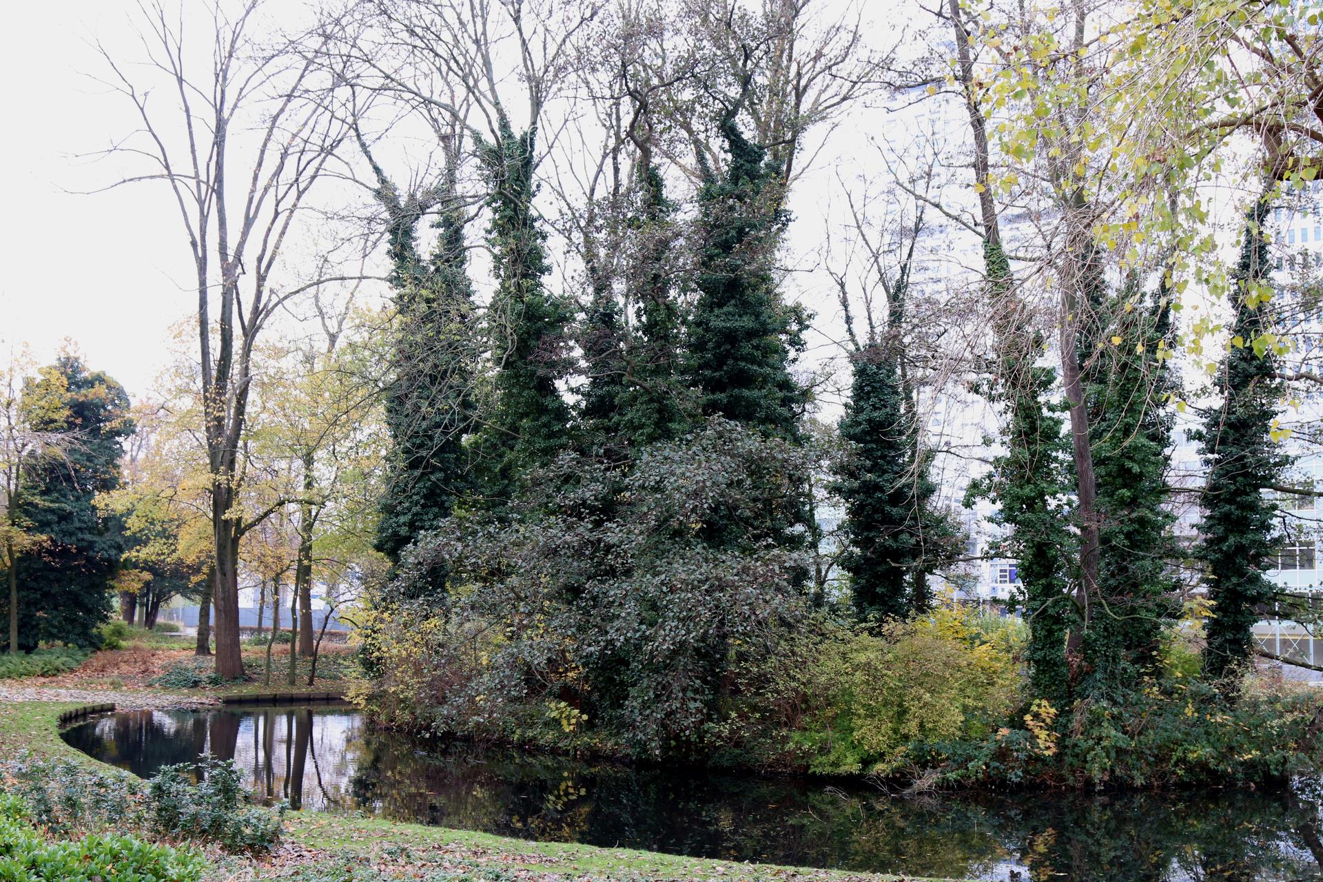 Biodiversity island, Rotterdam