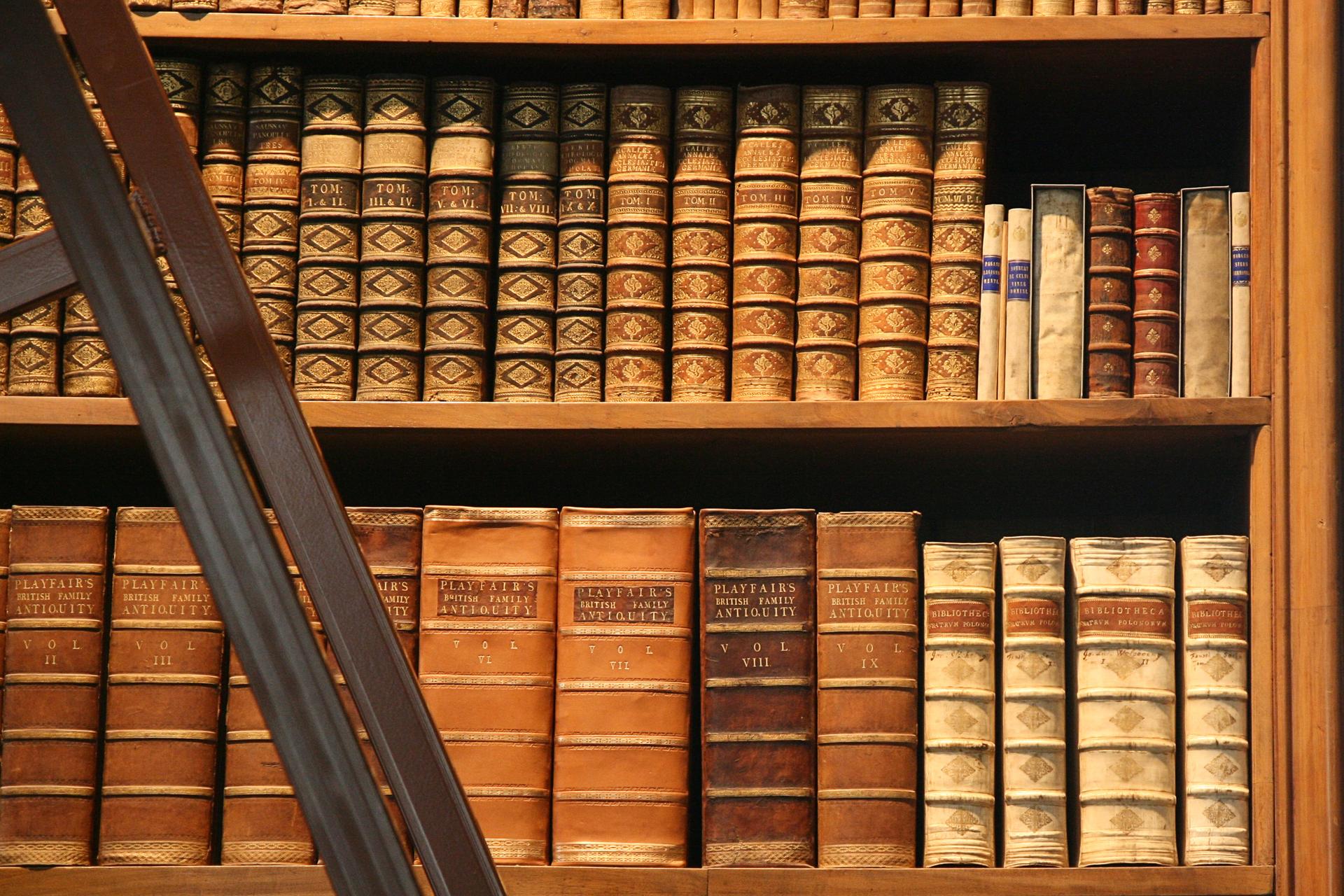 Historic leather-bound volumes on a shelf in the State Hall