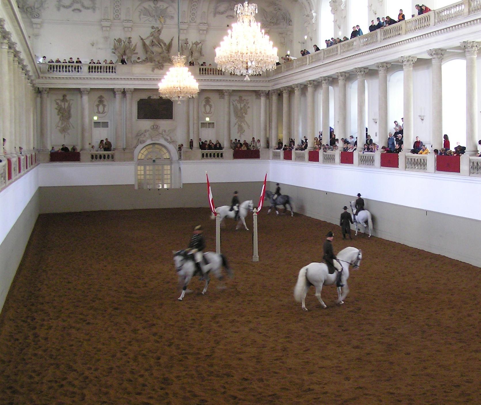 Lipizzaner horses and riders training in the Spanish Riding School