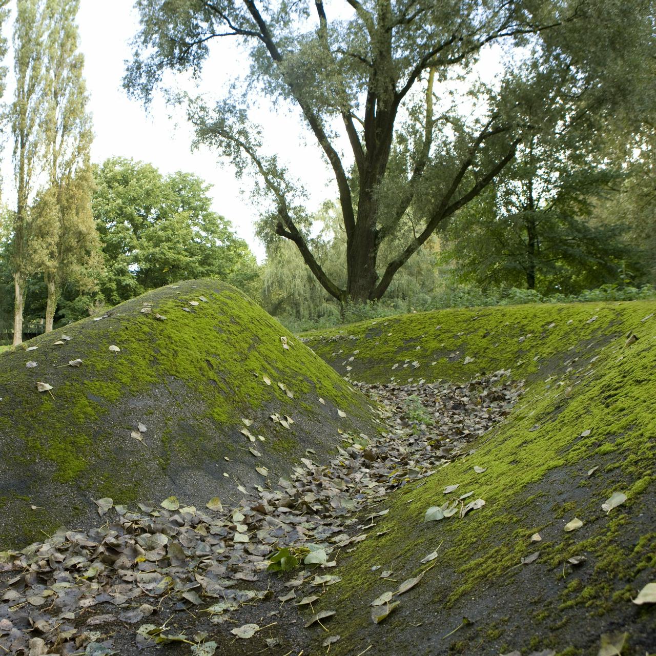Route Image 1 - Description