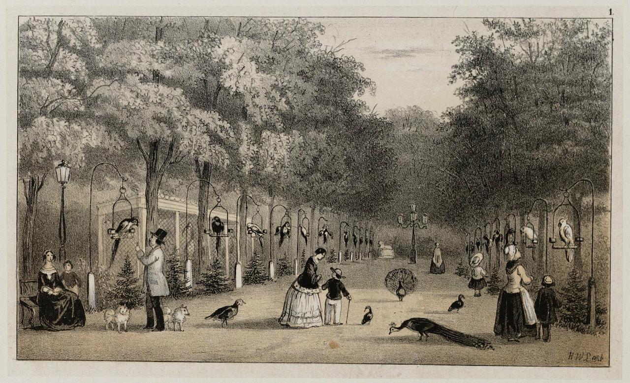 Route Image 1 - Description
