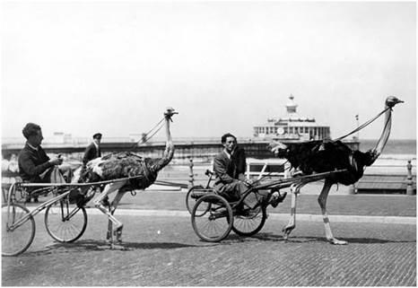 Route Image 1 - Description