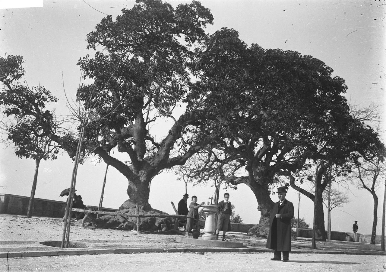 Route Image 1 - Description